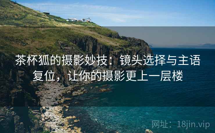 茶杯狐的摄影妙技：镜头选择与主语复位，让你的摄影更上一层楼