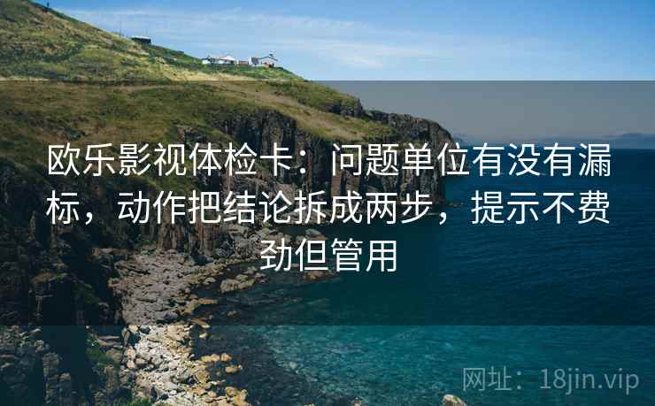欧乐影视体检卡：问题单位有没有漏标，动作把结论拆成两步，提示不费劲但管用