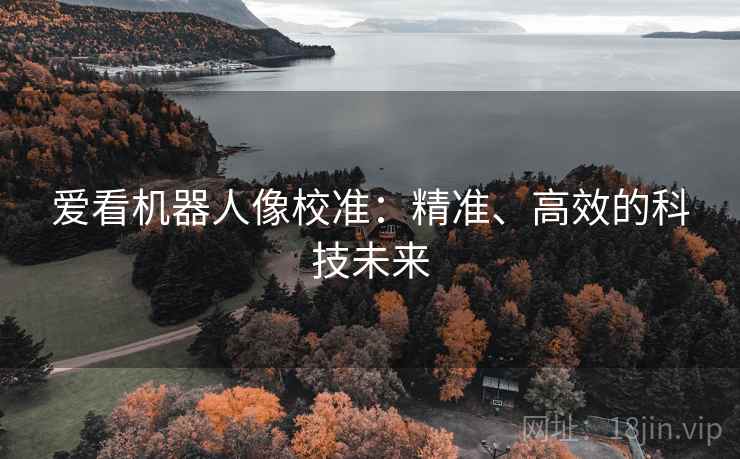 爱看机器人像校准：精准、高效的科技未来