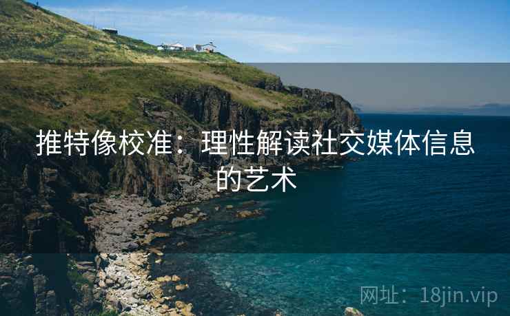 推特像校准：理性解读社交媒体信息的艺术